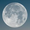 Mss.Moon logo